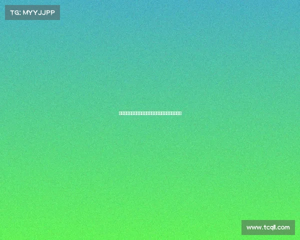 莱比锡有意引进中日德兰球员弗兰库利诺朱加强球队实力